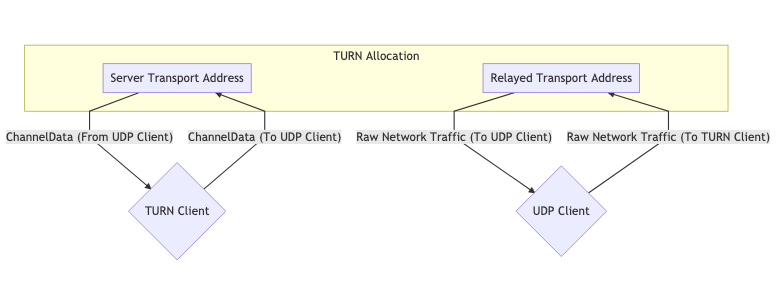 单个 TURN Allocation